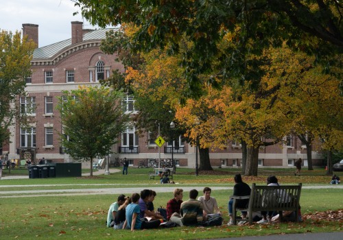 7 Cheapest Universities in the USA for International Students